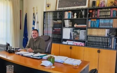 Appointment of deputy mayors and transfer of responsibilities