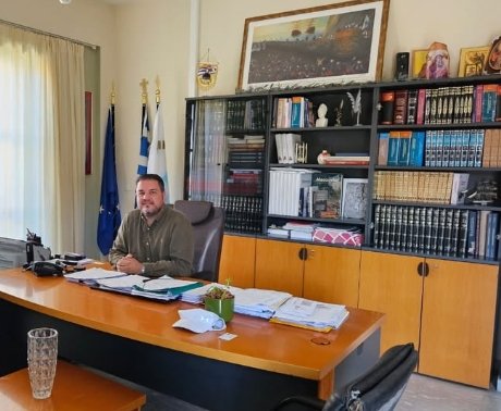 Appointment of deputy mayors and transfer of responsibilities