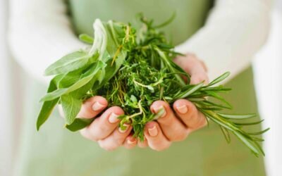 Miraculous Mani Health Herbs