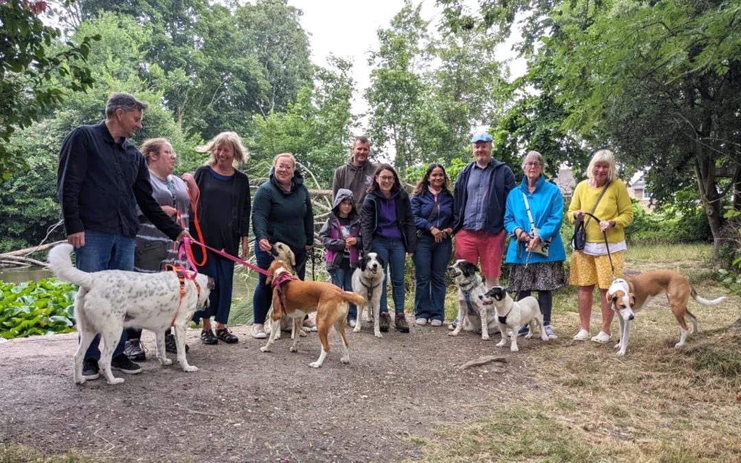From Greece to East Sussex